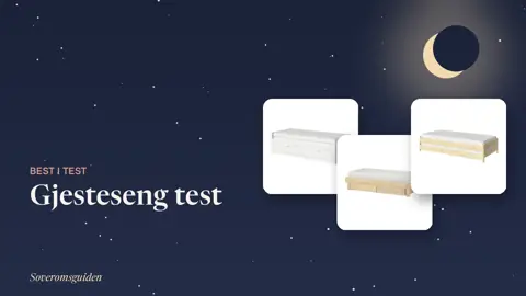 Gjesteseng test