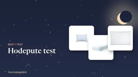 Hodepute test