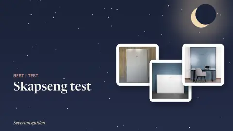 Skapseng test