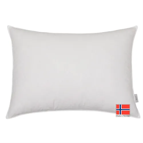 Høie Storpute Dun 70x100 hotellpute