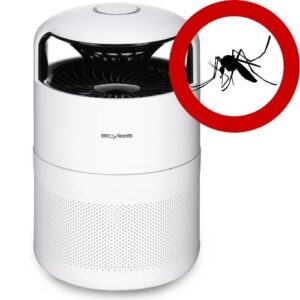 Insektfanger Stylies Pictoris