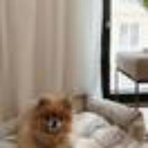 KELLY hundeseng/katteseng Beige