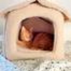 KENZO hundeseng / katteseng Beige