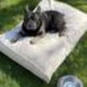 NALA OUTDOOR hundeseng/katteseng 100x68 cm Beige