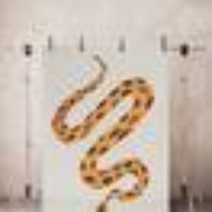 SNAKE bomullsteppe 130x190 cm Grå/brun